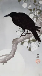 A Black Bird on a bough in the moonlight